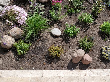 Kundenfoto_Grlitz_Rasenkante_Terrassenabschluss