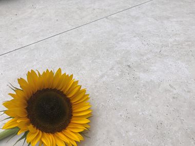 Travertinoptik-Platten Siena mit Sonneblume