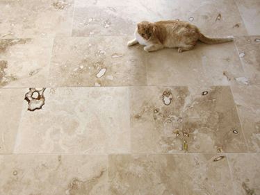 Kundenfoto: Travertin-Fliesen Onyx mit Katze aus Vogelperspektive